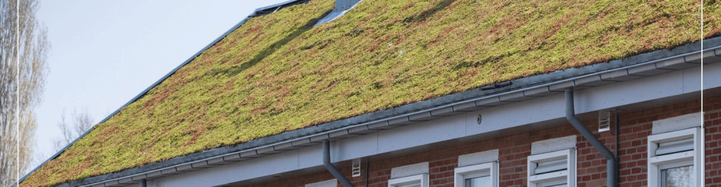 Groendak van Weijerseikhout